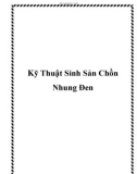 Kỹ Thuật Sinh Sản Chồn Nhung Đen