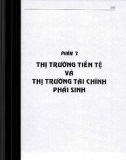 Tổng quan thị trường tài chính và các định chế tài chính (Lý thuyết & thực hành ứng dụng cho thị trường Việt Nam): Phần 2