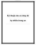 Các kỹ thuật cho cá chép đẻ tự nhiên trong ao