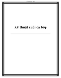 Kỹ thuật nuôi cá bớp