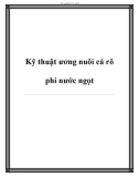 Kỹ thuật ương nuôi cá rô phi nước ngọt