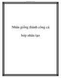 Nhân giống thành công cá bóp nhân tạo