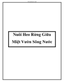 Nuôi Heo Rừng Giữa Miệt Vườn Sông Nước