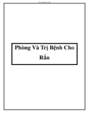 Phòng Và Trị Bệnh Cho Rắn