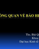 TỔNG QUAN VỀ BẢO HIỂM - Ths Bùi Quỳnh Anh