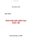 Giáo trình Hình thái giải phẫu học thực vật: Phần 1 - Hà Thị Lệ Ánh