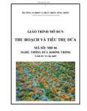 Giáo trình Thu hoạch và tiêu thụ dứa - MĐ06: Trồng dứa (khóm, thơm)