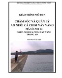 Giáo trình Chăm sóc và quản lý ao nuôi cá chim vây vàng - MĐ04: Nuôi cá chim vây vàng trong ao