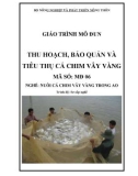 Giáo trình Thu hoạch, bảo quản và tiêu thụ cá chim vây vàng - MĐ06: Nuôi cá chim vây vàng