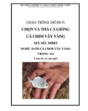 Giáo trình Chọn và thả cá giống cá chim vây vàng - MĐ03: Nuôi cá chim vây vàng