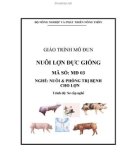 Giáo trình Nuôi lợn đực giống - MĐ03: Nuôi & phòng trị bệnh cho lợn