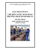 Giáo trình Chế biến nước mắm bằng phương pháp đánh khuấy - MĐ03: Chế biến nước mắm