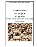 Giáo trình Thu hoạch - MĐ06: Ương giống và nuôi ngao