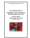 Giáo trình Chế biến nước mắm bằng phương pháp gài nén - MĐ02: Chế biến nước mắm