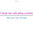 Bài giảng Kỹ thuật sản xuất giống cá chẽm - Ngô Văn Mạnh