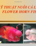 Bài giảng Kỹ thuật nuôi cá La Hán