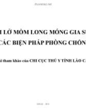 Bài giảng Bệnh lở mồm long móng gia súc và các biện pháp phòng chống