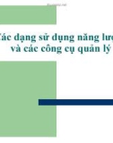 Bài giảng Kinh tế năng lượng: Các dạng sử dụng năng lượng và các công cụ quản lý