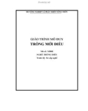 Giáo trình mô đun Trồng mới Điều - MDD02: Nghề trồng điều