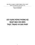 Thực trạng và giải pháp trong xây dựng rừng phòng hộ ngập mặn ven biển