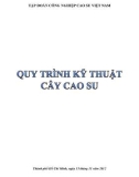 Tìm hiểu về quy trình Kỹ thuật cao su: Phần 1