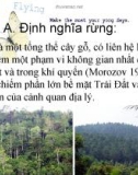 Thực trạng khai thác tài nguyên rừng ở Việt Nam và trên thế giới hiện nay