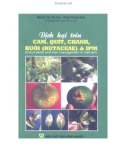 Tìm hiểu dịch hại trên cam, quýt, chanh, bưởi và IPM (Tái bản lần thứ 3): Phần 1