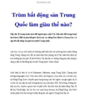 Trùm bất động sản Trung Quốc làm giàu thế nào?