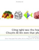 Bài giảng Công nghệ sau thu hoạch - ThS. Lương Hồng Quang (Chuyên đề lên men thực phẩm)