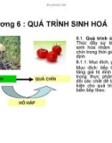 Bài giảng môn học Các quá trình cơ bản trong công nghệ thực phẩm: Chương 4 - Dương Văn Trường