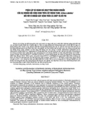 Phân lập và đánh giá hoạt tính kháng khuẩn của xạ khuẩn nội cộng sinh trên cây màng tang (Litsea cubeba) đối với vi khuẩn gây bệnh trên cá Chép và Rô Phi