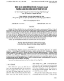 Đánh giá đa dạng nấm đạo ôn lúa (Pyricularia oryzae) tại đồng bằng Sông Hồng bằng kỹ thuật REP - PCR