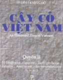 cây cỏ việt nam: quyển 2 - phạm hoàng hộ