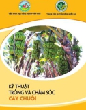 kỹ thuật trồng và chăm sóc cây chuối