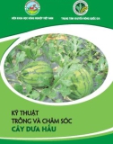 kỹ thuật trồng và chăm sóc cây dưa hấu