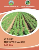 kỹ thuật trồng và chăm sóc cây lạc