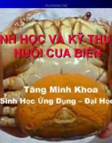 Sinh học và Kinh nghiệm nuôi cua biển