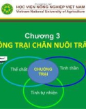 Bài giảng Chăn nuôi trâu bò - Chương 3: Chuồng trại chăn nuôi trâu bò