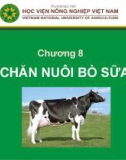 Bài giảng Chăn nuôi trâu bò - Chương 8: Chăn nuôi bò sữa