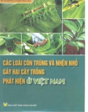 Các loại côn trùng nhỏ gây hại cho cây trồng và phát hiện ở Việt Nam (Quyển 1): Phần 1