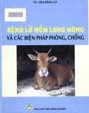 Các biện pháp phòng, chống bệnh lở mồm long móng: Phần 1