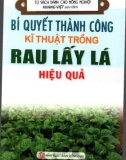 Kĩ thuật trồng rau lấy lá - Bí quyết thành công cho hiệu quả cao: Phần 1