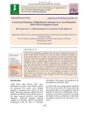 Growth and physiology of high density Dalbergia Sissoo tree plantations under micro fertigation system