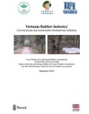 Report Vietnam rubber industry: Current status and sustainable development solutions