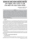 Đánh giá khả năng kháng khuẩn gây bệnh tiêu chảy ở lợn của một số loại thảo dược