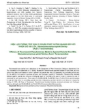 Hiệu lực phòng trừ của vi khuẩn phát huỳnh quang đối với nhện gié hại lúa, Steneotarsonemus spinki Smiley (Acari: Tarsonemidae)