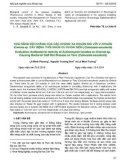 Khả năng đối kháng của các chủng xạ khuẩn đối với vi khuẩn Erwinia sp. gây bệnh thối nhũn củ khoai môn (Colocasia esculenta)