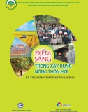 Xây dựng nông thôn mới, điểm sáng trong năm 2018