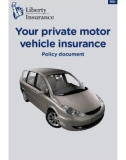 Your private motor vehicle insurance