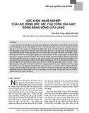 Sức khỏe nghề nghiệp của lao động bốc vác thủ công lúa gạo đồng bằng sông Cửu Long